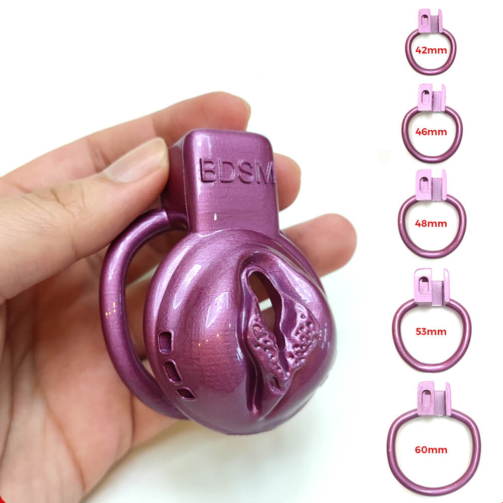 BDSM Pussy Vaginal Chastity Devices Cage