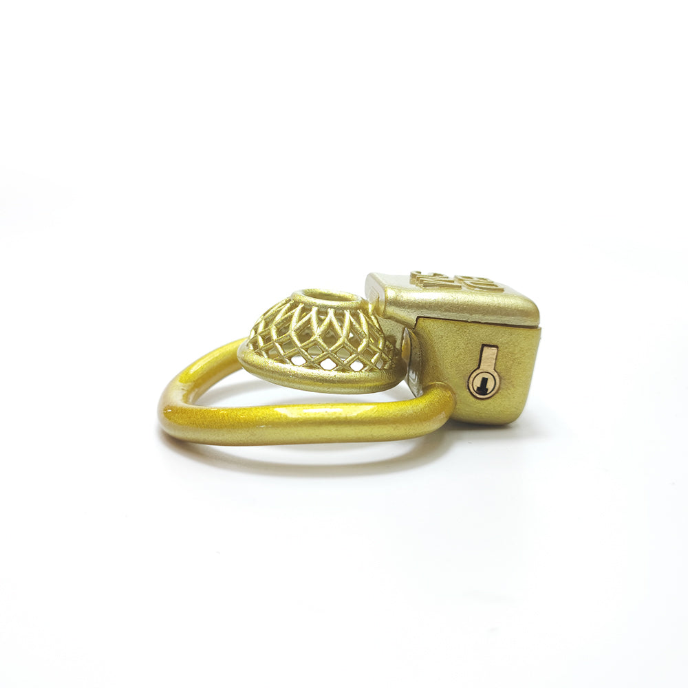 CDTS BDSM Golden Reticular Chastity Cage 4Rings