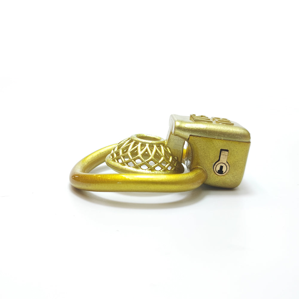 CDTS BDSM Golden Reticular Chastity Cage 4Rings