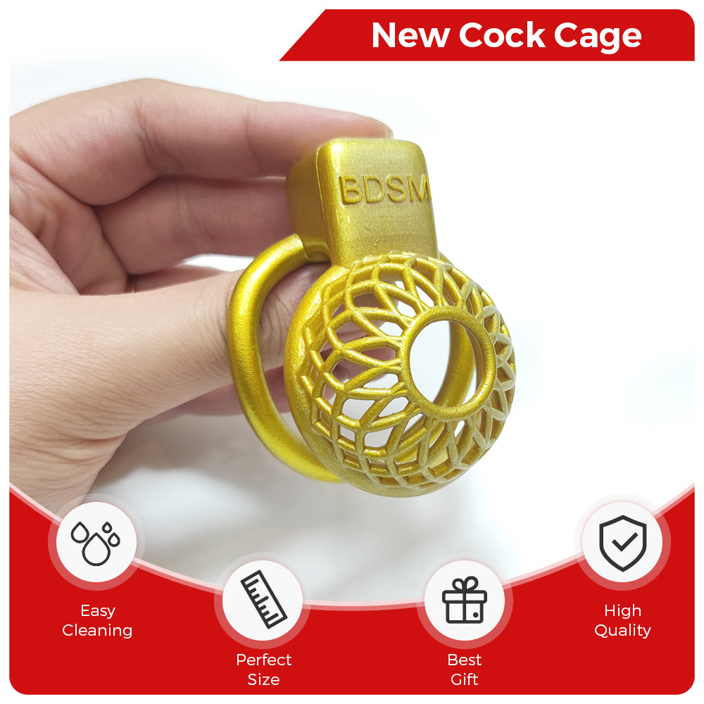 Small Golden Reticular Slave Cock Cage – GXLOCK Store