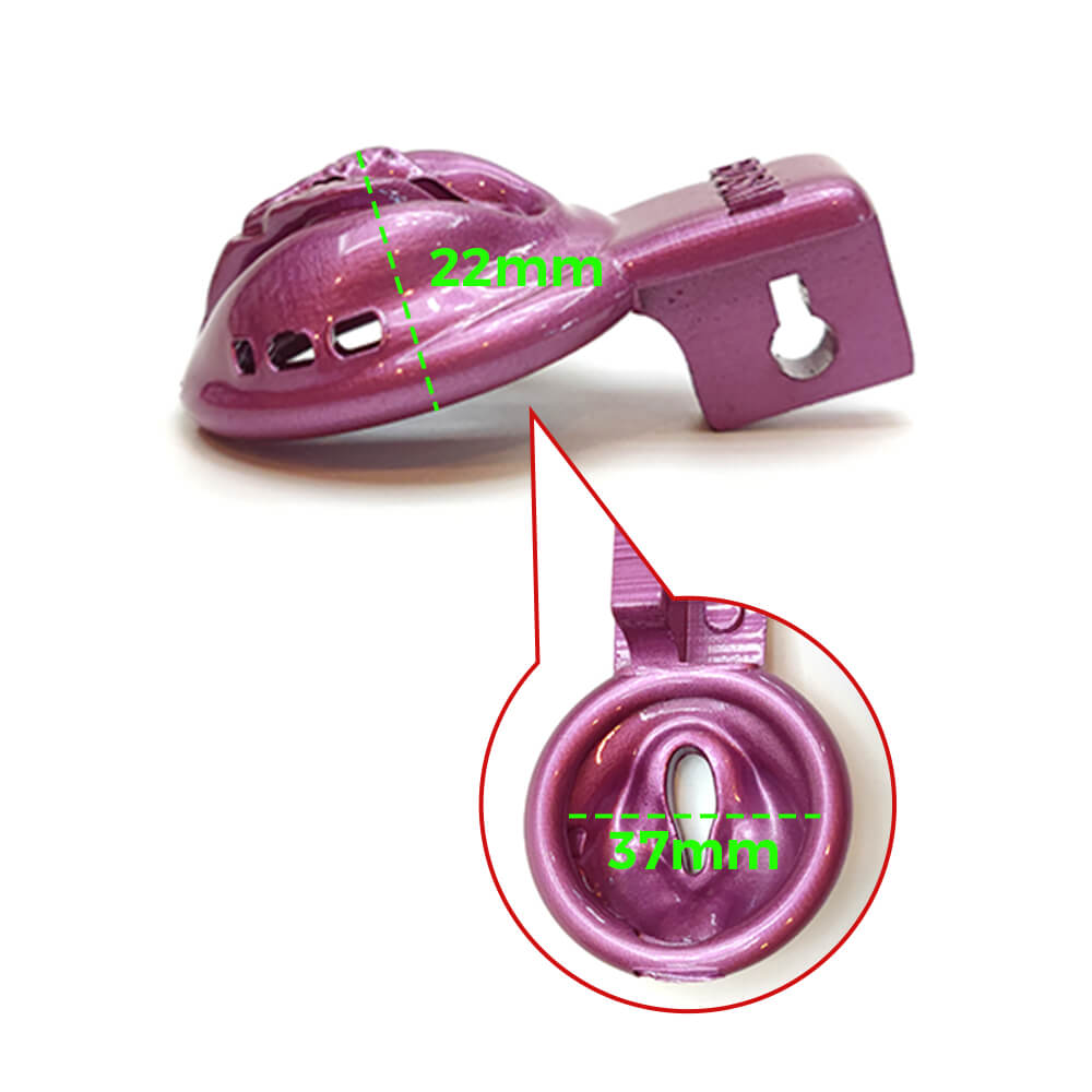 BDSM Pussy Vaginal Chastity Devices Cage