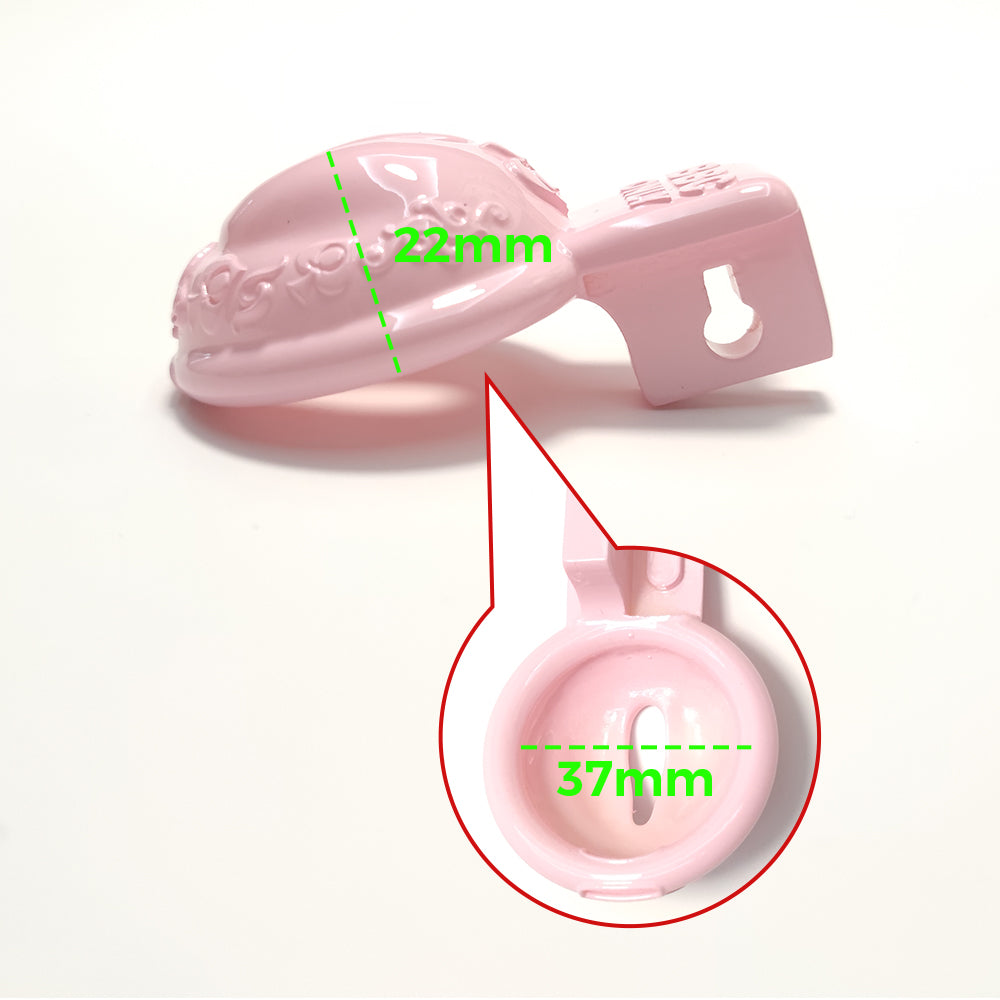 Pink BBC Pussy Vaginal BDSM Chastity Cage