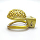 Small Golden Reticular Slave Cock Cage