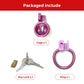 BDSM Pussy Vaginal Chastity Devices Cage