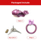 Purple Skull Cock Cage Slave Chastity Cage