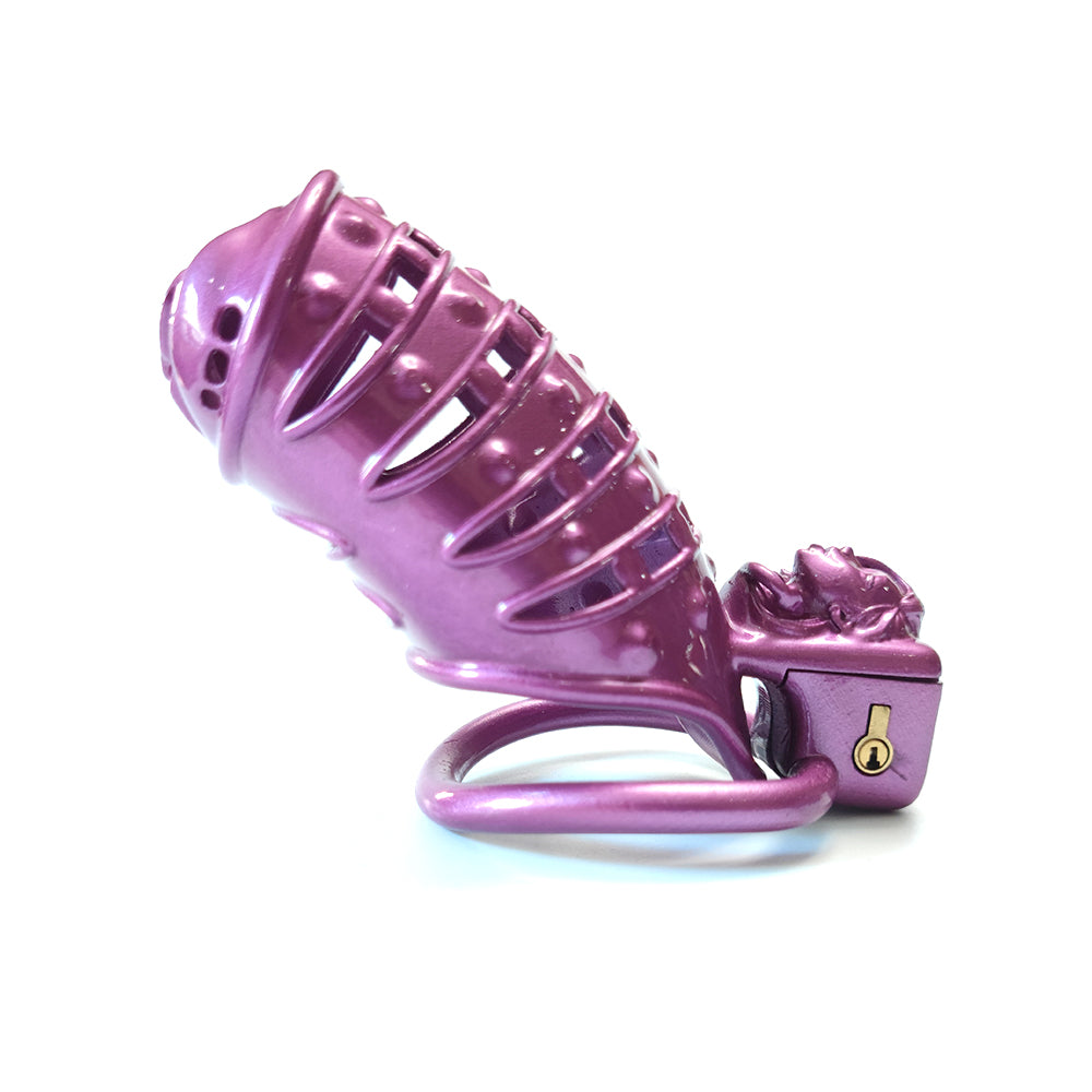 Purple Spiked BDSM Pussy Vaginal Chastity Devices