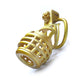 Golden Evil BDSM Chastity Cage