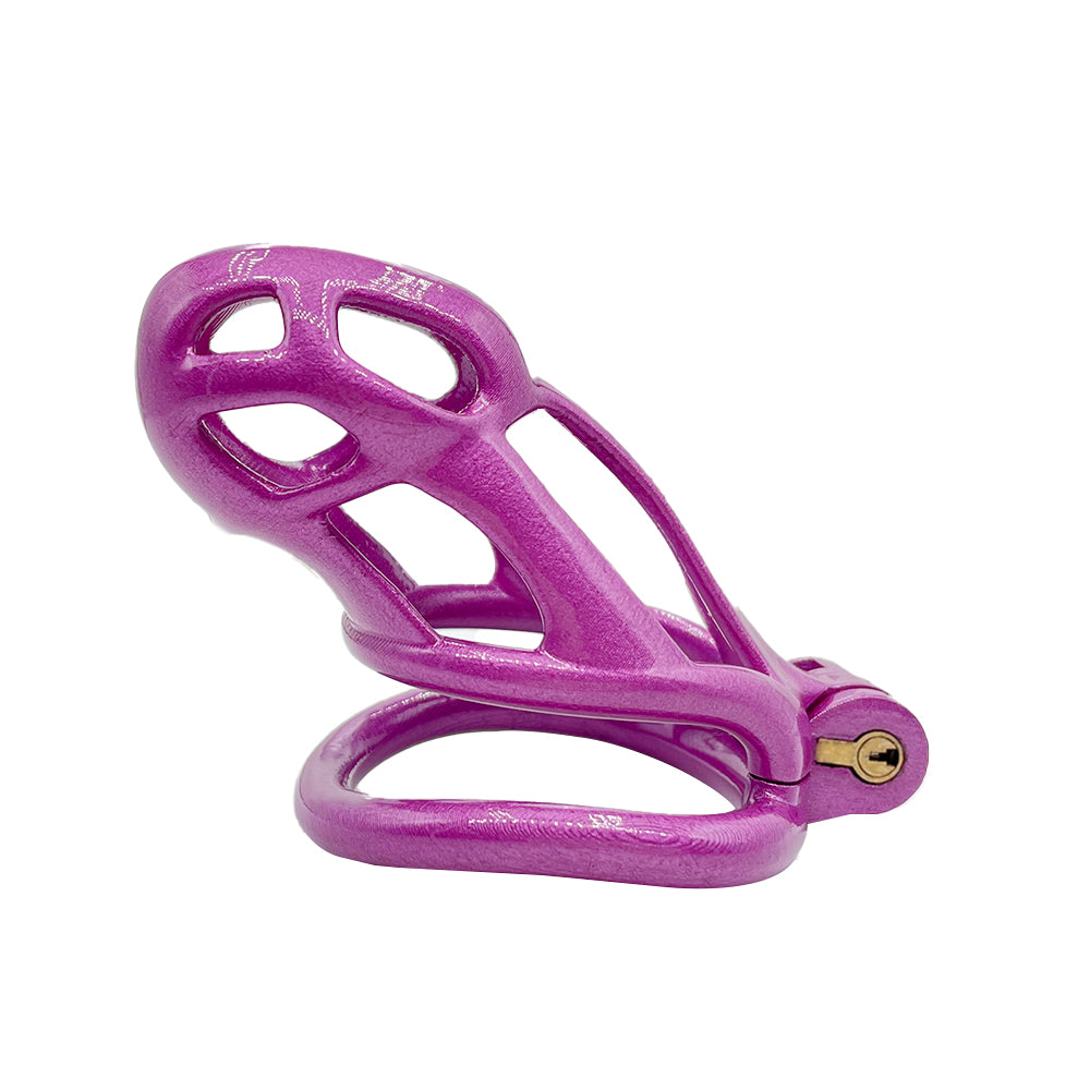 BDSM Purple Slave Chastity Cock Cage