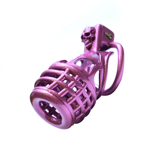 BDSM Slave Evil Chastity Devices