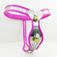 Underwear Female Metal Chastity Belt