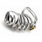 Long Metal Chastity Cage Penis Lock