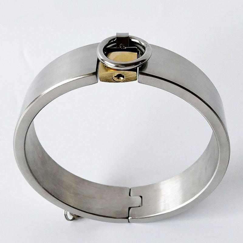 Metal Neck Collar With Lock