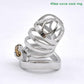 Prison Bird Belt Stainless steel Chastity Cage