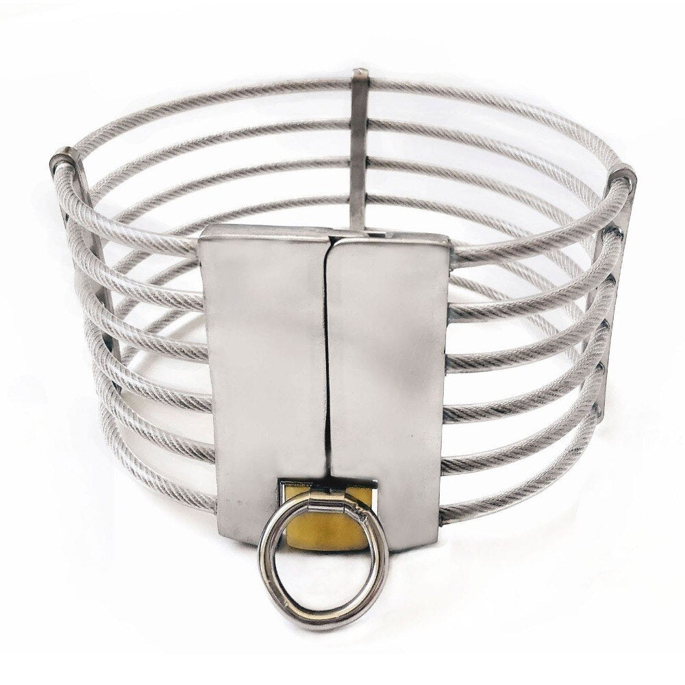 BDSM Metal Bondage Lockable Collar