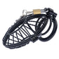Hollow Black Dick Lock Steel Slave Cock Cage