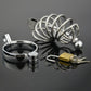 BDSM Torture Lock Metal Chastity Cage