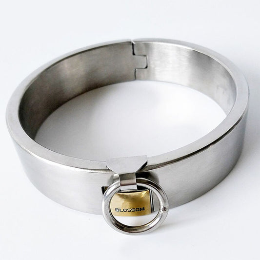 Metal Neck Collar With Lock