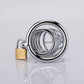 Stainless Steel Large Abstinence Cock Cage