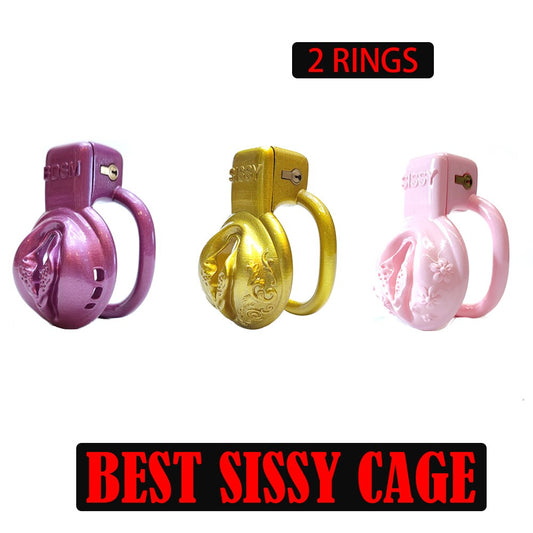 2Rings Sissy Pussy Vaginal Chastity Devices