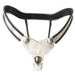 CBT BDSM Bondage Male Chastity Belt