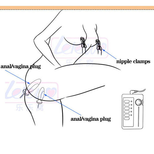 Electro Stimulation Nipple Clamps Anal Plug