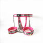 Stainless Steel Foot Lock Cuffs Chastity Belt