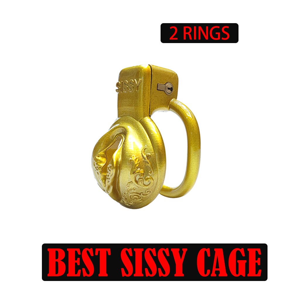 2Rings Sissy Pussy Vaginal Chastity Devices