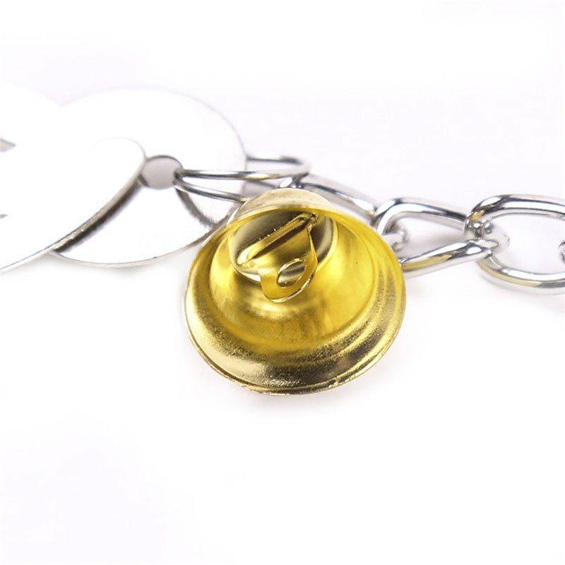 BDSM Metal Chain Nipple Clamps