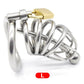 Arc Stainless Steel Urethral Plug Chastity Cage
