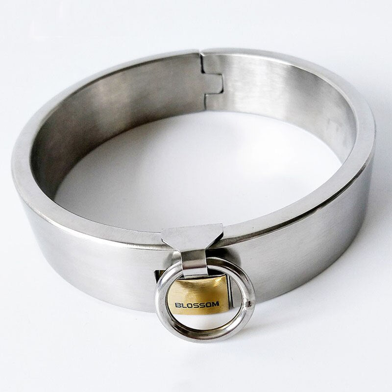 Metal Neck Collar With Lock