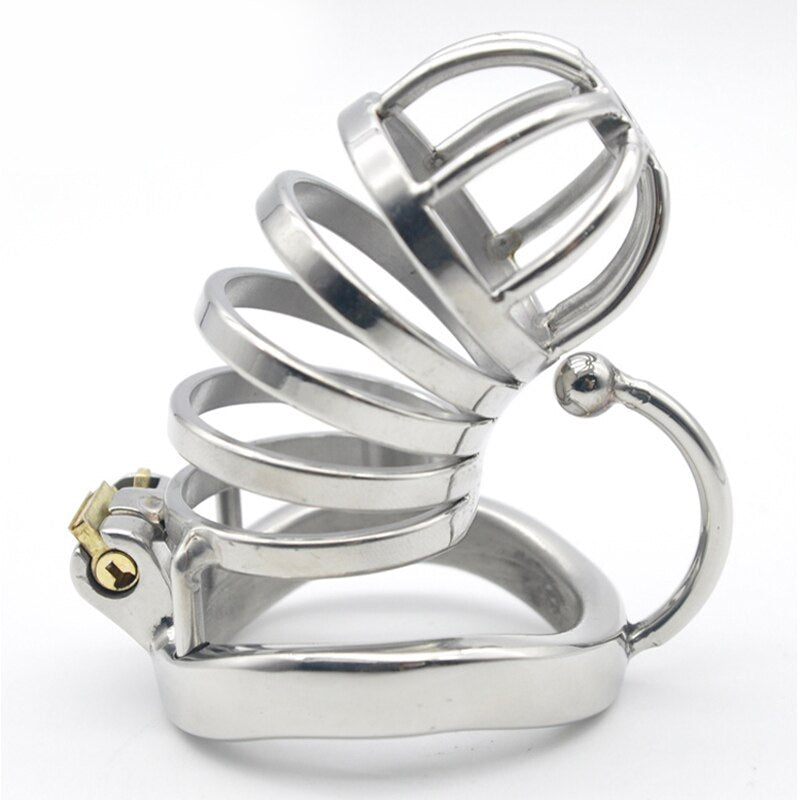 BDSM PA Lock Metal Chastity Cage