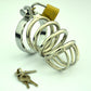 BDSM Torture Metal Chastity Cage Device